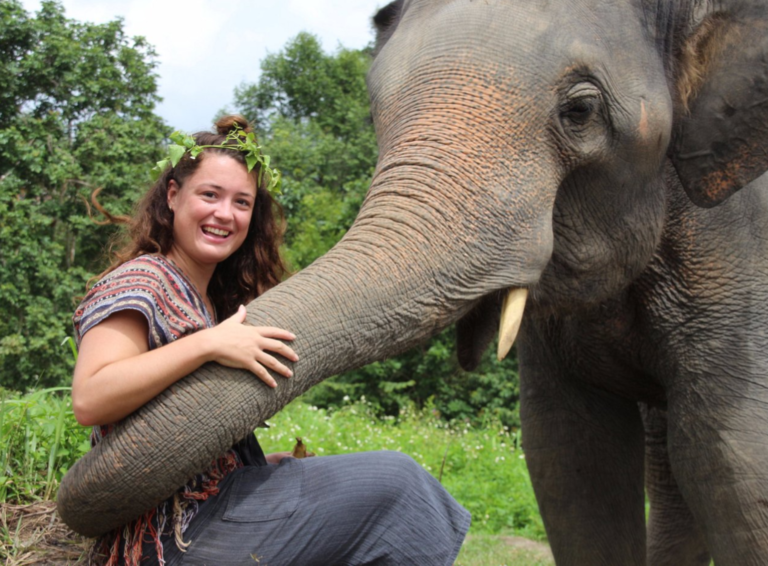 Discovering the pulse of Thailand: A 10-day adventure Unveiled