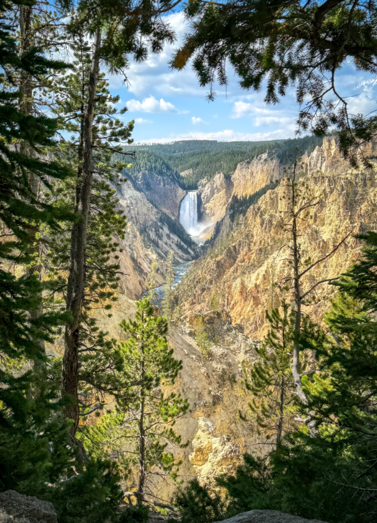 Unleash The Wild: Yellowstone’s Hidden Trails Are Awaiting