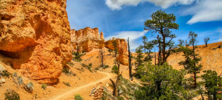 Unlocking Bryce Canyon’s Secrets: A Hiker Dream Unfolds