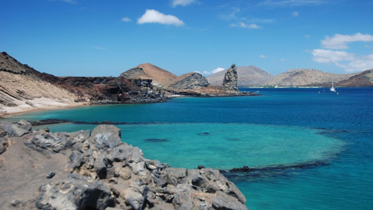 The Ultimate Packing List For the Galapagos Islands : Your Guide to Adventure